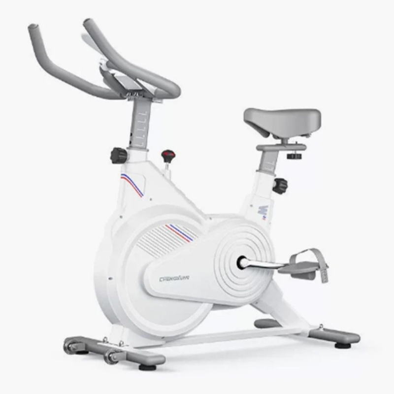 Home Gym Rig - Stacjonarny rower spinningowy do użytku domowego,