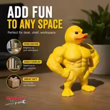 Figurka Muskularnej Kaczki - Z – Home Gym Aesthetic recenzja i cena